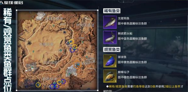 星球重启观赏鱼怎么获得_星球重启观赏鱼获取方法