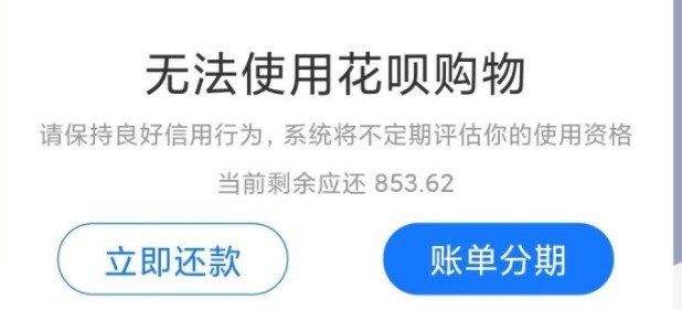无法使用花呗购物恢复时间详解